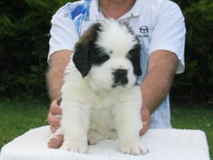 Joseph 5 weeks