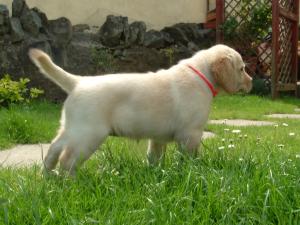 one of our black boy