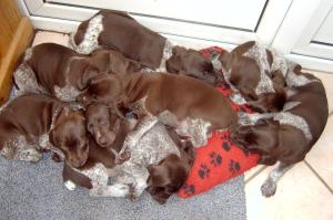 Crashed out !!