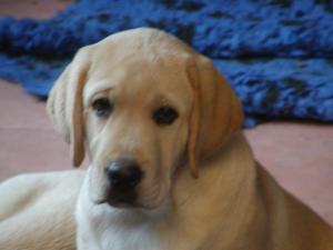 age10 weeks