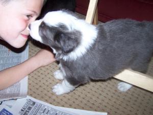 DEACON KISSING HARRY !!!