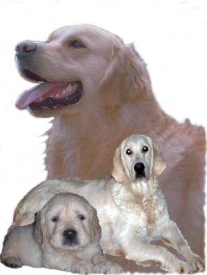 Max & Coco anounce the birth of their babies.