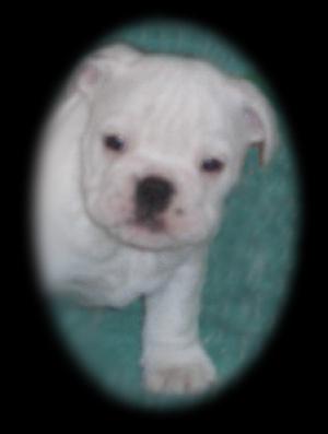 Rosie