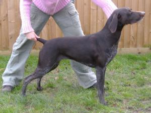 Winterwell Bessyboot of Seasham (Roxy)