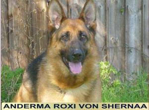 ANDERMA ROXI VON SHERNAA
