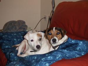tootsie and tiny