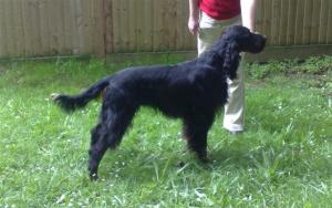 Angus 23rd March 2008 - 2 years