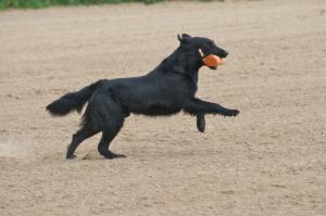 Duncan -May 2010 at Penshurst Place