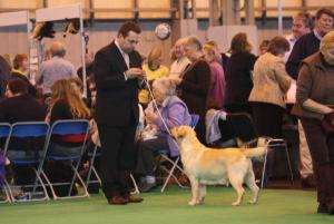Shella and Anthony in the ring at Crufts