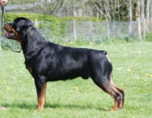 Billy at 18 months
