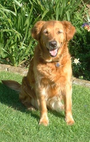 Mollie