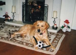 Sophie