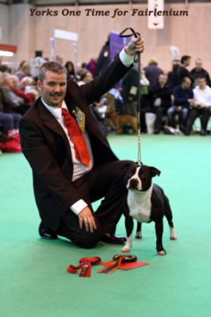 1st at Crufts 2008