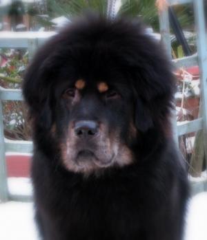 Puschka at 12 months