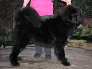 Boris at 14 months