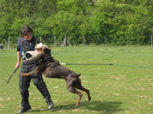 Working with Richard Bredin may 2010