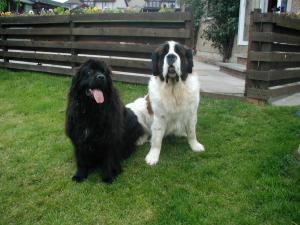Bruce with his best friend Wallace