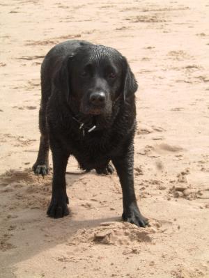 Wyela enjoying her Holidays !!