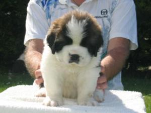 Jude 5 weeks