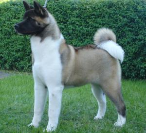 Ginny Aged 7 months