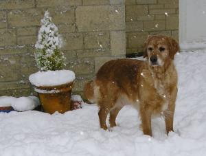 3 January 2010