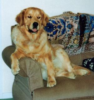 Noah relaxes at home - Spring 2006