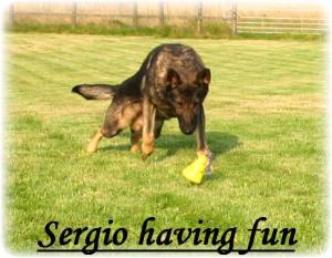 SERGIO HAVING FUN