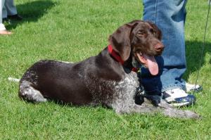 Kobi at 5 Months
