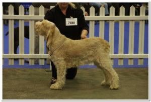 Ruby gaining her second CC at Manchester 2011