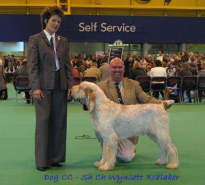 Lui DCC Crufts 2003