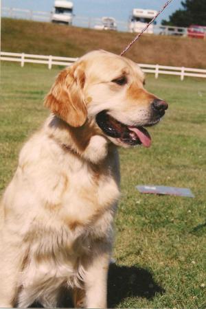 Libby