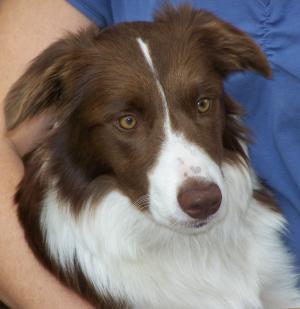 MADDIE AGE 7 MONTHS