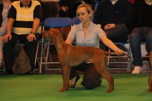 Crufts 2010