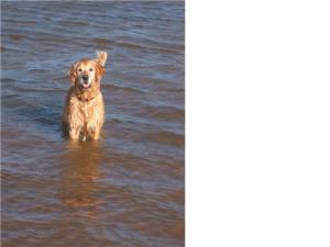 Pascha having a lovely time at the seaside -Oct 05