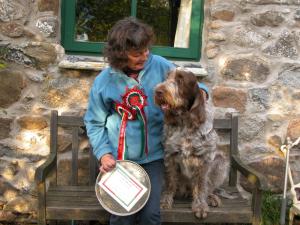 Best Brown Roan Bitch Italian Spinone Club Oct 09