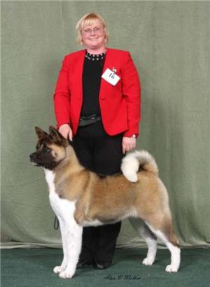 Ruthdales Maid To Rule