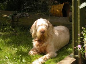 Amber's special talent , resting.