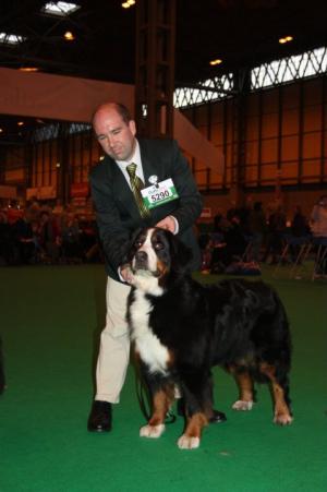 Irish Champion Star Of County Down with Andrew
