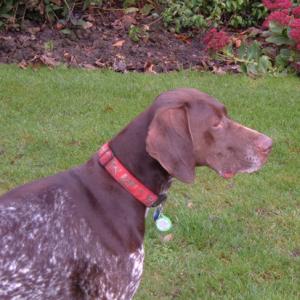 Tessie