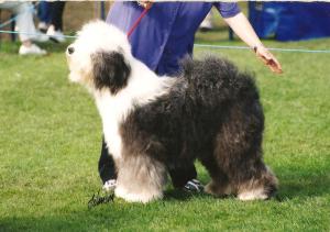 Crystal Aged 10 months