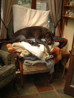 The Princess and the Pea