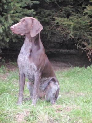 Lara aged 18months