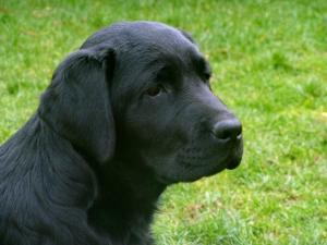 Her daughter 'Roma' at 4 months