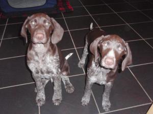 Amidala Bootes (Spot) on the left with his sister