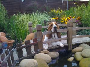 Hannah in her new garden