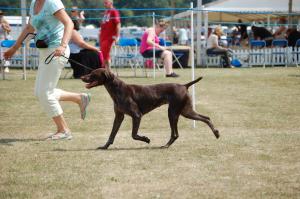 Millie on the move