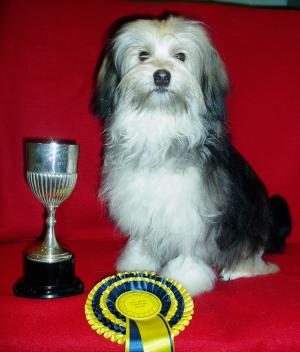 Reserve Best Puppy in Show
