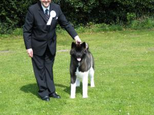 RUSSCURRAGH FLAUNT N FLIRT WITH SHYLLAR (6 months)