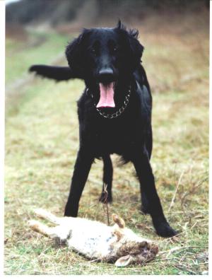 Tara - enjoying her favourite hobby
