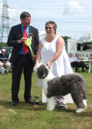 Valleydell Jezebel aged 7months